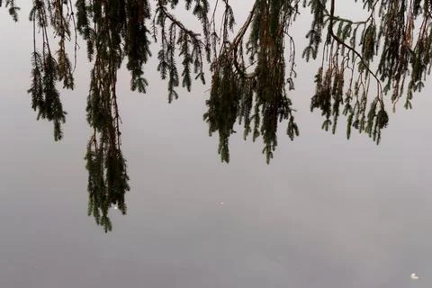 Nature background Stock Photos