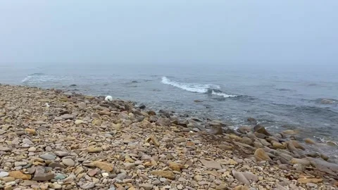 Nature background with sea waves hitting the sea shore. Summer foggy day Stock Footage 233771958