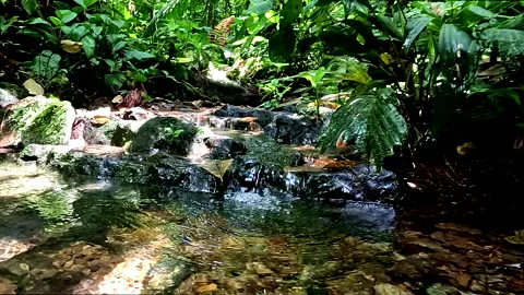 Nature background of a small cascade, fresh and clear water cascade Vidéo 336932849