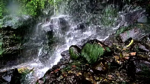 Nature background; stunning view of a waterfall falling on old dark rocks Vidéo 336871182