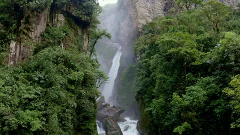 Nature background of a stunning waterfall amids the green trees Stock Footage 169917767