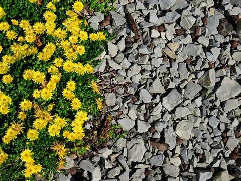 Nature background for texts 스톡 사진