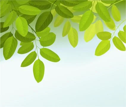 Nature background with tree leaves Stock Illustration