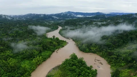 A nature background of a tropical river in the forest with fog over canopy Vidéo 160318308