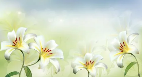 Nature background with white lilies. vector. Stock Illustration