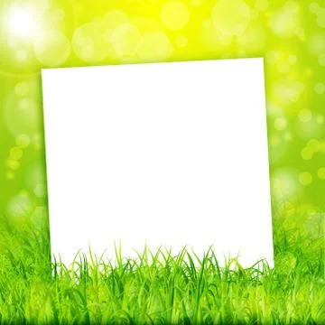 Nature background with white paper sheet in green grass Illustrazione stock