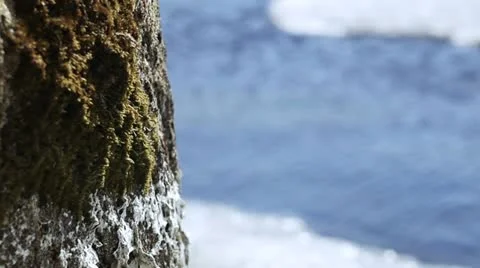 The nature of Baikal Stock Footage 10891640