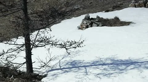 The nature of Baikal Stock Footage 10891648