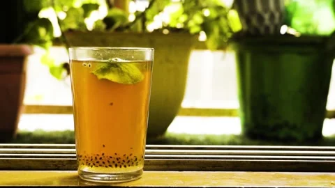 Nature / Beach Vidéo 328000550