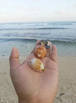 NATURE BEACH Stock Photos