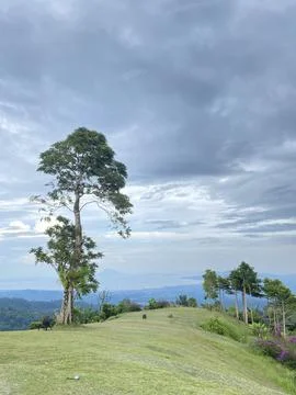 Nature with the Beautiful Clouds 스톡 사진