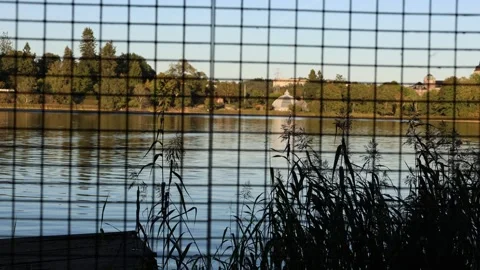 Nature behind bars. Concept video. Stock Footage 296819591