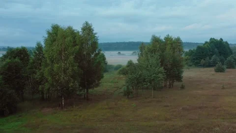 Nature of Belarus. Drone flying forward over magnificent misty green summer Stock Footage 153756166