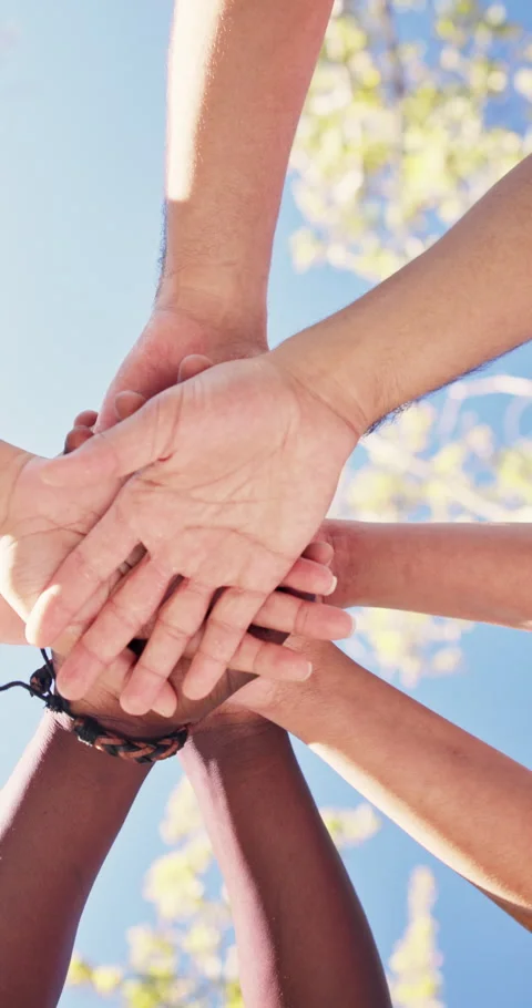 Nature, below and people with stack of hands for solidarity, support or Stock Footage 340892580