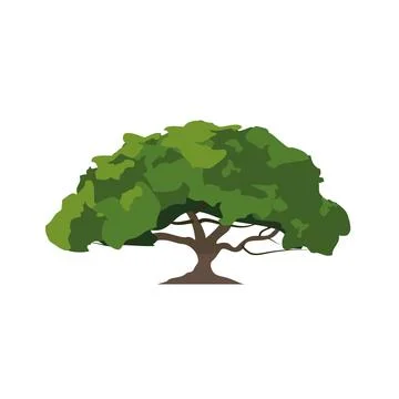 Nature big tree vector over white Stock Illustration