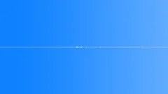 Nature birds chirping ambience shortSound Effect