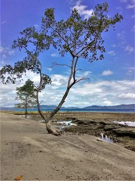 The Nature In Blue Stock Photos