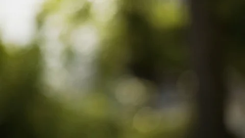 Nature Blur Overlay Video stock 129320928