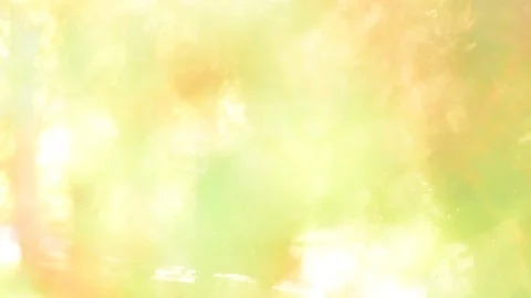 Nature Blurred background dolly shot. Stock Footage 88690974