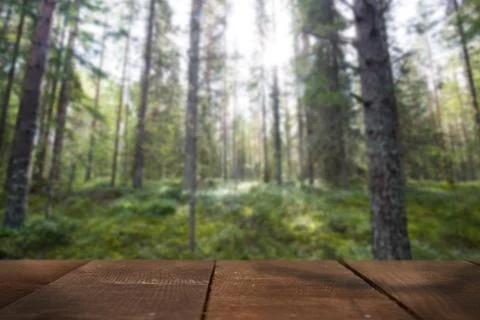 Nature blurred background Stock Photos