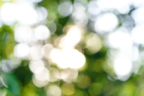 Nature blurred bokeh background. Defocus summer day vintage toned Stock Photos