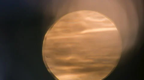 Nature bokeh background. Stock Footage 58688754