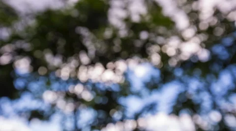 Nature bokeh background Stock-Footage 58907006