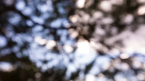 Nature bokeh background Stock Footage 58907194