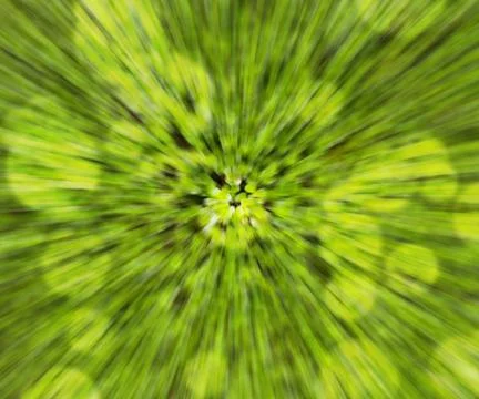 Nature bokeh Stock Illustration