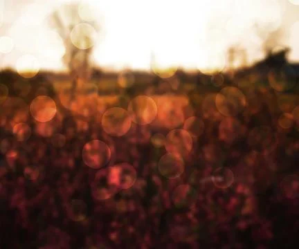 Nature bokeh texture Stock Illustration