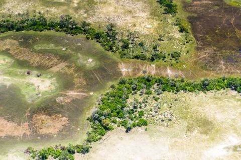 Nature of Botswana Stock Photos