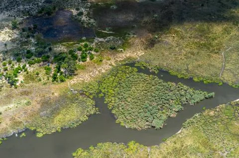 Nature of Botswana Stock Photos