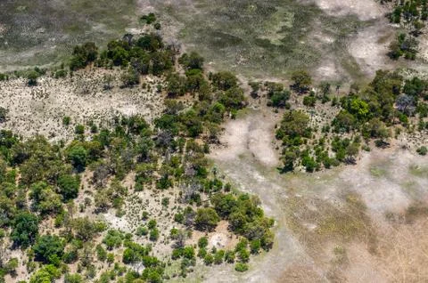 Nature of Botswana Stock Photos