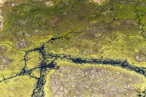 Nature of Botswana Stock Photos