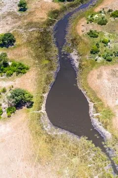 Nature of Botswana Stock Photos