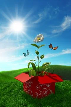 Nature from a box Stock Illustration