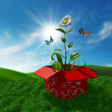 Nature from a box Stock Illustration