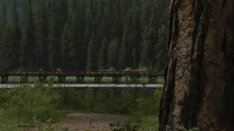 Nature bridge Stock Footage 10887743