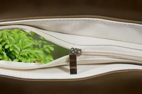 Nature in a brown bag Stock Illustration