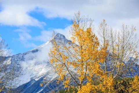 Nature Canada Stock Photos