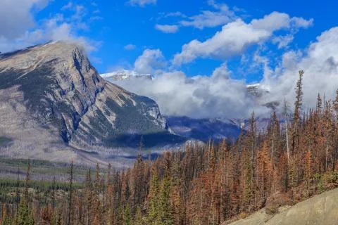Nature Canada Stock Photos
