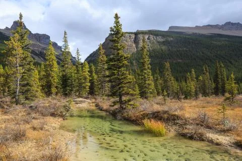 Nature Canada Stock Photos