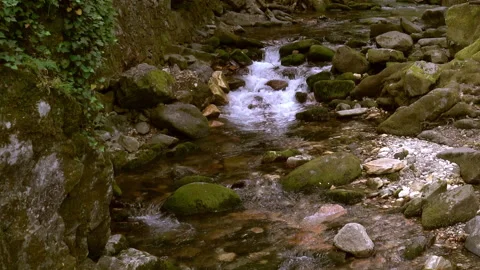 Nature-canC0179hd Stockbeeldmateriaal 296797552