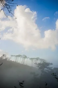 Nature in cape town Stock Photos