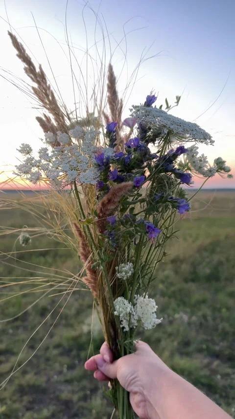 Nature captured in a bouquet, rural landscape harmony, wildflowers reflecting Stock Footage 317191853