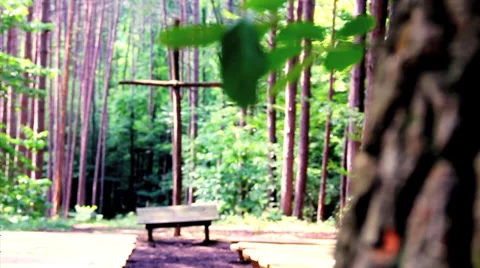 Nature Chapel in the Pines Stock Footage 35293928