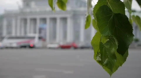 Nature in city Stock Footage 51498522