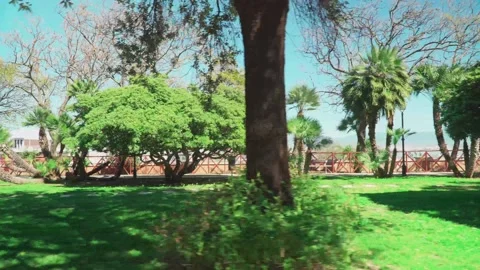Nature in the city Stock Footage 173823152
