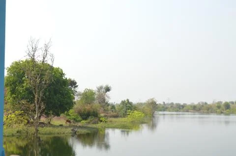 Nature Click Fotos Stock