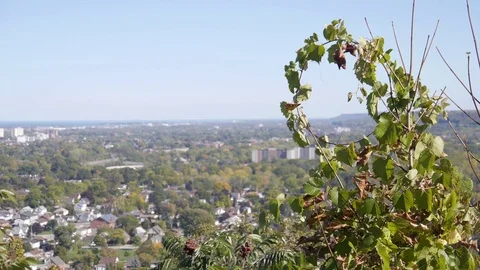 Nature close up with town in backround Stock Footage 74070408